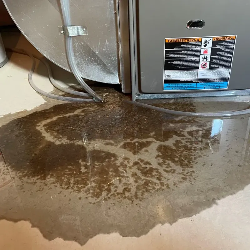 Pipe Burst and Leak Restoration in Hoxie, AR